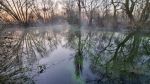 1111_Salzaspring_Waldmeister_