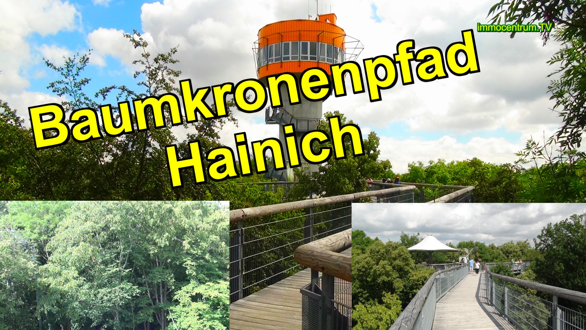 Baumkronenpfad Hainich